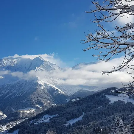 Du Montblanc, Glmb Appartement *